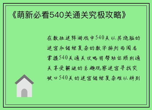 《萌新必看540关通关究极攻略》